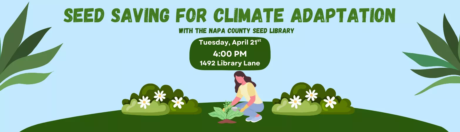 Seed Saving_English